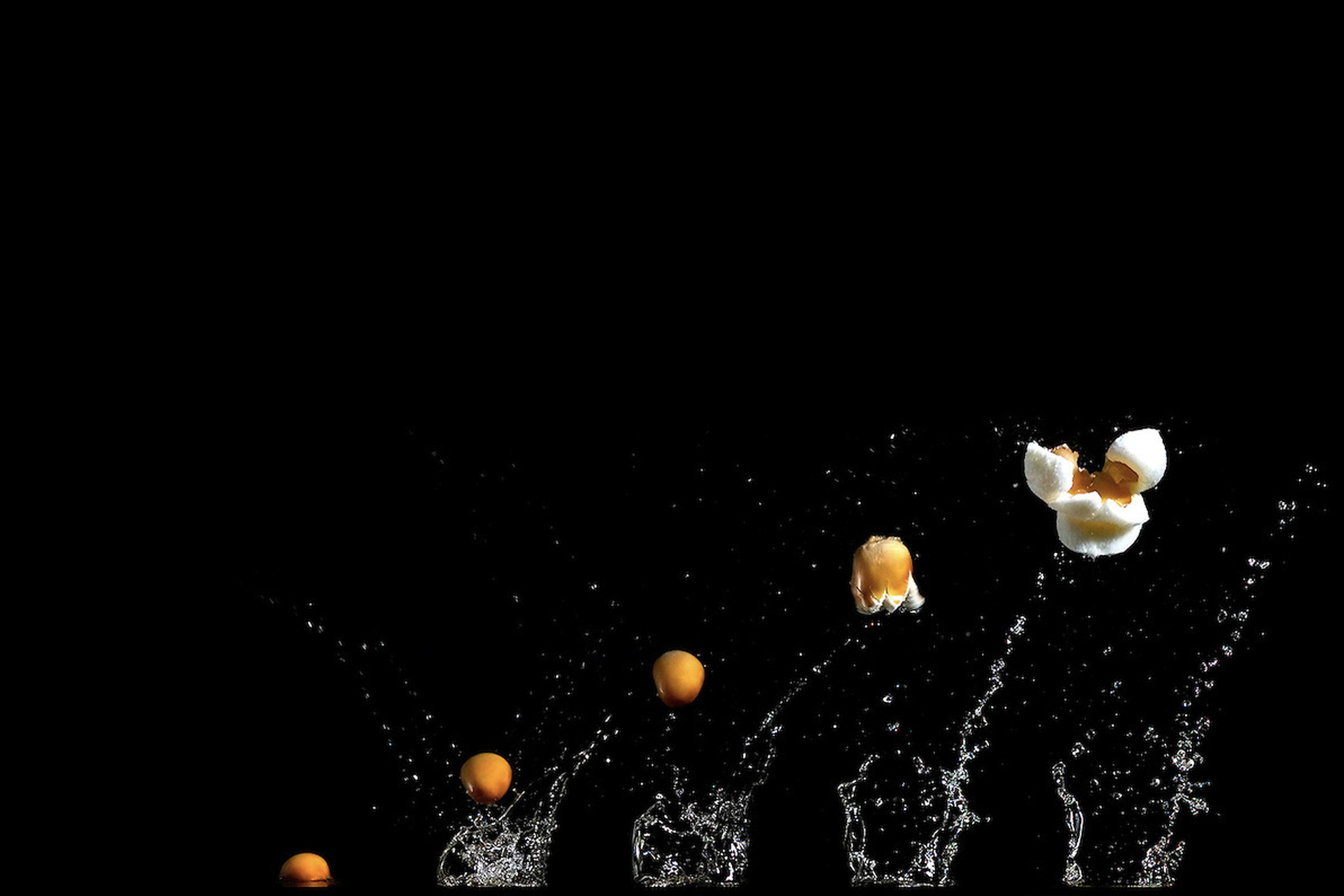 Copyright Modernist Cuisine