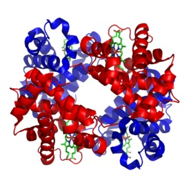 An illustrated representation of a protein that shows its 3D structure, which can help scientists understand the protein's function.